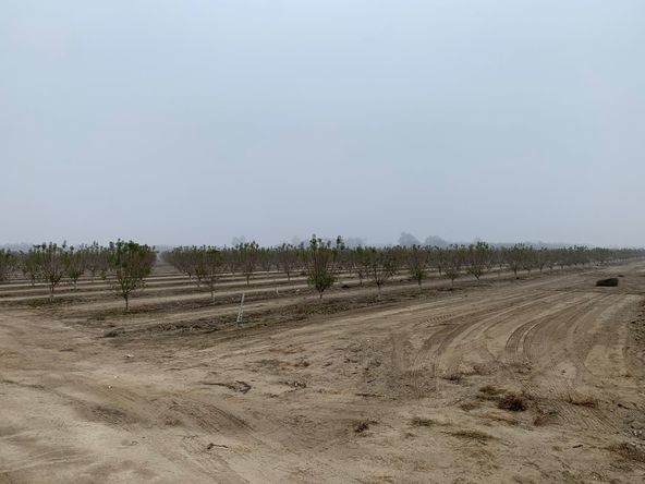 ASKY Almonds: 14899 Avenue 295, Visalia, CA 93292